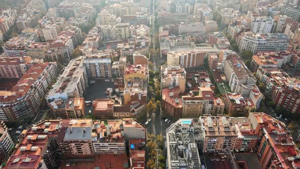 Aerial drone view of Barcelona, Spain. Blocks with multiple residential buildings, roads with cars