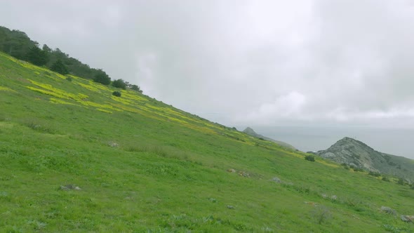 Dutch angle view of meadow at Pico do Facho, Portugal. First-person perspective