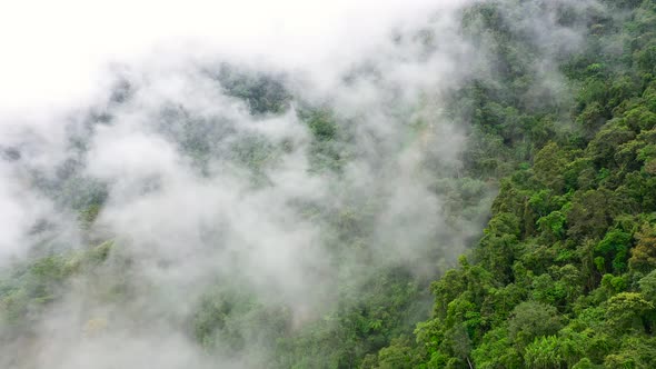 Mountain Peaks Are Covered with Rainforest and Clouds. Rain Clouds in a Tropical Climate