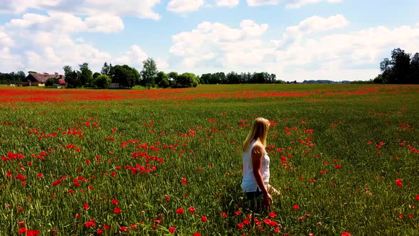Young Blonde Woman  is Walking Through a Poppies Field Feeling Happy. Field of the Red Flower Poppy
