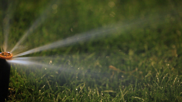Water Sprinkler Showering Grass alt