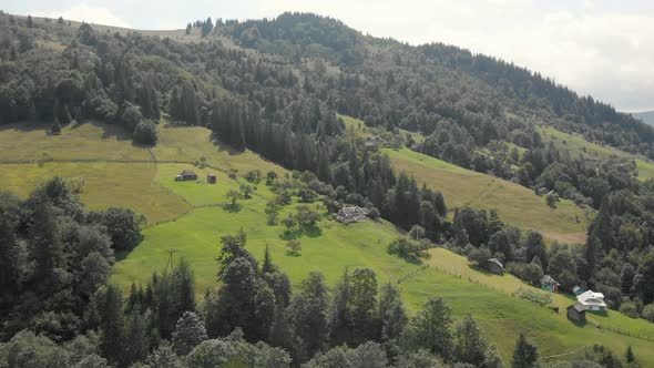 Panoramic View of Mountain Covered with Forests