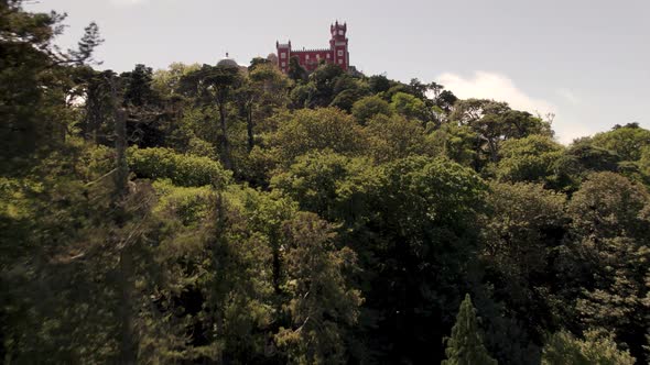 Lush forest at Natural Park and Pena Palace Sintra, Lisbon, Portugal. Aerial forward