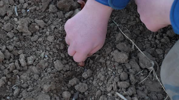 Farmer Sowing Seeds