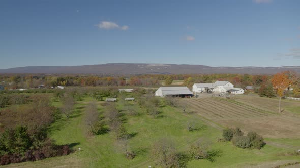 Aerial of farm with huts surrounded with autumn trees