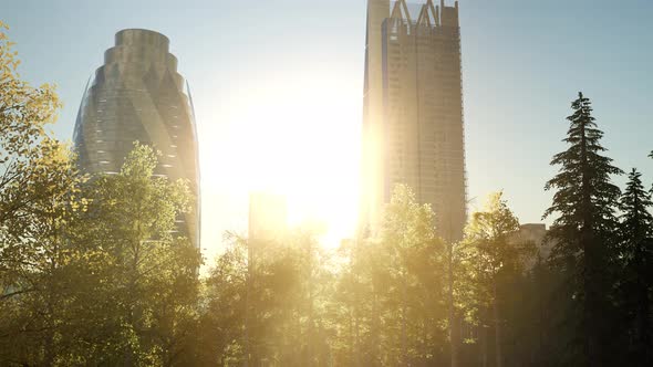 Skyscrapes and the Forest Park at Sunrise