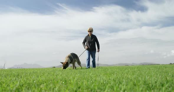 Shepherd dog walking with his owner in the farm 4k