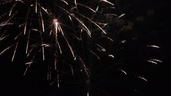 Fireworks in the Sky on Black Background