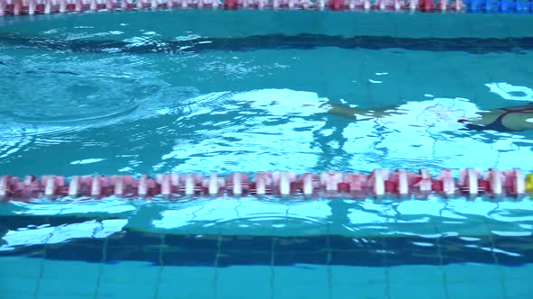 Male Swimmer Jumps Off Starting Block and Start Swims in Pool Slow-motion Video. Professional