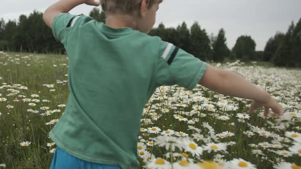 A Boy Running Around the Field and Picking Daisies
