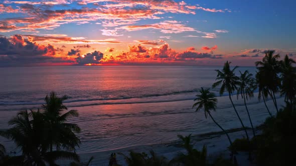 Beach with palm trees and an incredibly beautiful sunset.