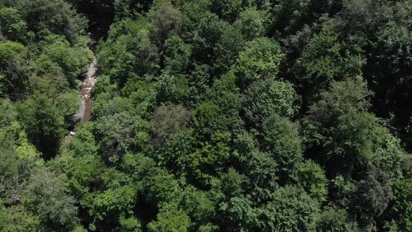 The Camera's View Rises From the Treetops To the Horizon and the Mountain Tops. Aerial Video, Rain