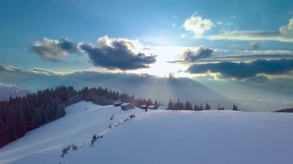 Flying Over Mountains and Forest