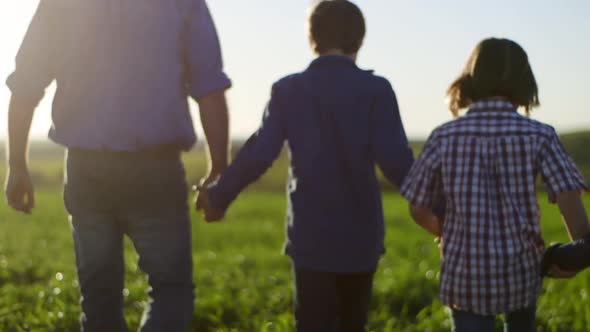 Family walking away from camera in lush green field holding hands