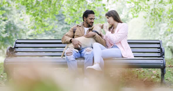 Happy couple sitting on park bench cuddling with dog