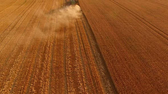 Combine Harvester Moving