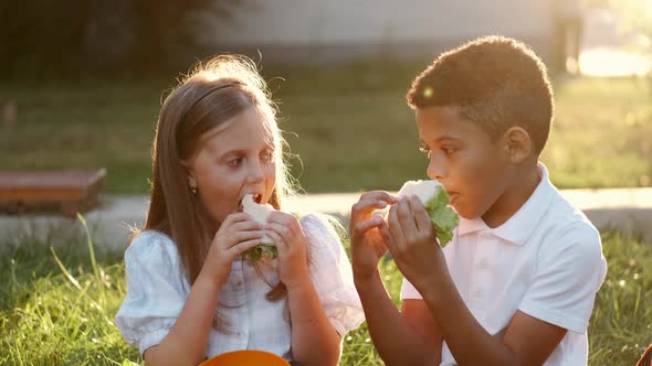 Multethnic Classmates Eating Sandwiches on the Grass