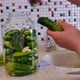 A woman is preparing summer pickles, making homemade pickles - VideoHive Item for Sale