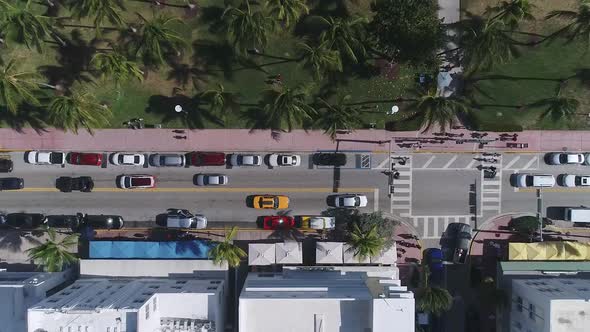 Road with cars in tropical city