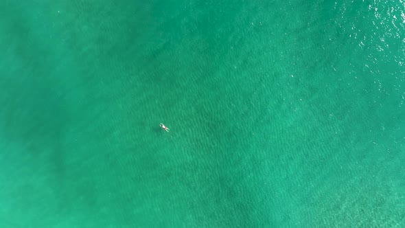 A man swims in the sea aerial view 4K