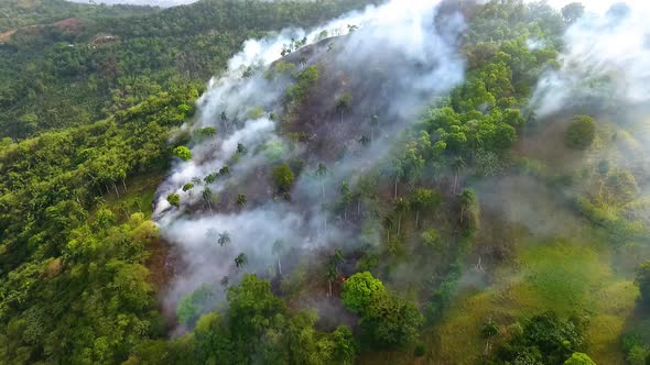 Aerial view of Rainforest deforestation, forest fire burning and smoking, in the Jungle of Sumatra,