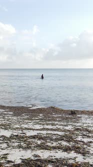 Vertical Video of a Coastal Landscape in Zanzibar Tanzania