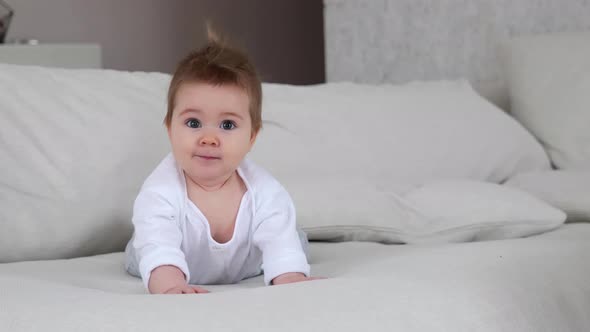 Adorable 6 Month Baby Laying on Stomach on Sofa