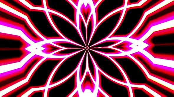 Beautiful video 3D liquid line abstract background in pink flower shape texture