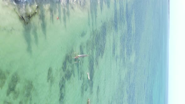 Vertical Video of the Ocean Near the Coast of Zanzibar Tanzania Aerial View