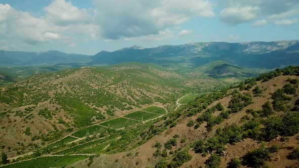 Crimea Landscape: Aerial View of Vineyards in the Lowlands of the Mountain. Crimean Vineyards.