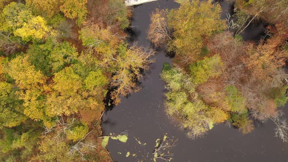 An aerial drone shot of the colorful fall foliage in upstate NY. The camera tilted straight down, do