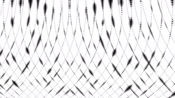 Black Color Glowing Digital Particle Grid Line Animated On White Background