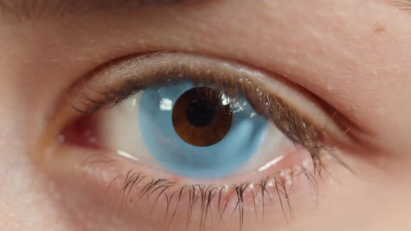 Closeup of a Brown Eye Wearing Blue Lens Young Woman in Decorative Lenses