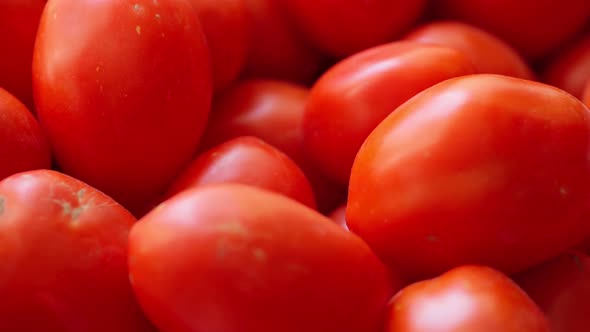 Ripe red tomatoes spinning in a circle