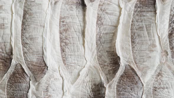 White Snake Leather Closeup Production of Handmade Accessories Made of Genuine or Artificial Animal