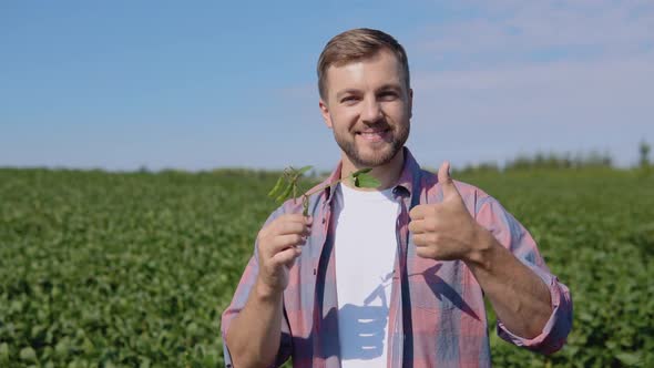 A Young Farmer Looks at a Soybean Sprout in His Field