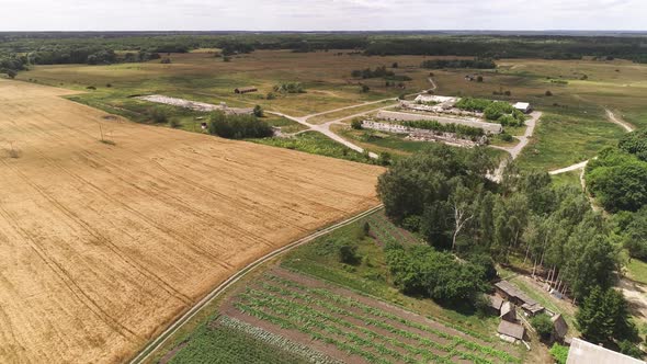 Agricultural Fields, Countryside. A Shot From Above.