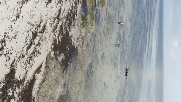 Vertical Video of Low Tide in the Ocean Near the Coast of Zanzibar Tanzania Aerial View