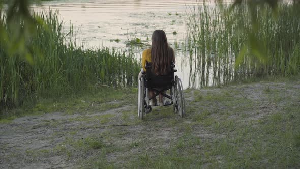 Back View of Lonely Young Woman Sitting on Wheelchair and Looking at Sunset on River Bank. Wide Shot