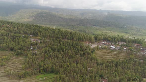 Tropical Landscape with Agricultural Land in Indonesia