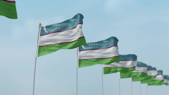 Uzbekistan Row Of Flags 