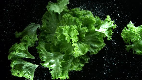 Super Slow Motion Shot of Rotating and Cutting Fresh Lettuce at 1000Fps