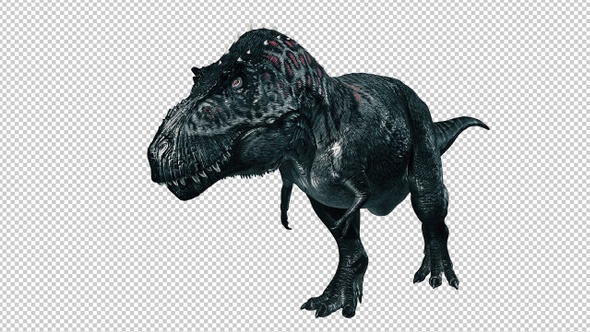 Tyrannosaurus  Walk alt