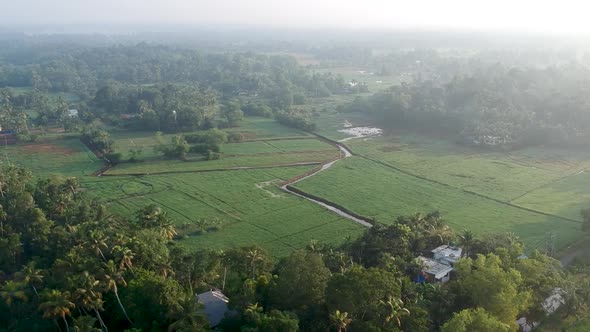 Beautiful sunrise in a Asian paddy field village,Rice farm,irrigation,Aerial shot