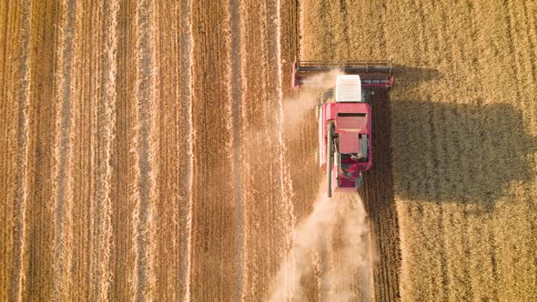 Aerial View Red Harvester Working in the Field. Combine Harvester Agricultural Machine Collecting