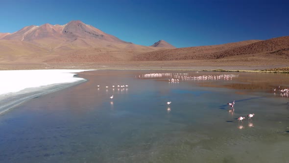 Sunrise View of Laguna De Canapa with Flamingo Bolivia Altiplano