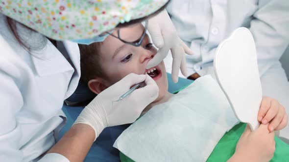 Woman Dentist Examines Baby Teeth of Little Boy Patient in Clinic