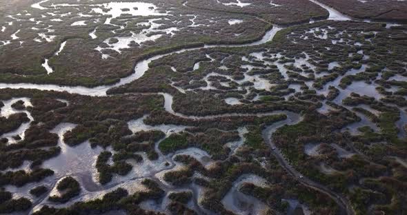 Beautiful Shapes of the Venetian Lagoon in Italy