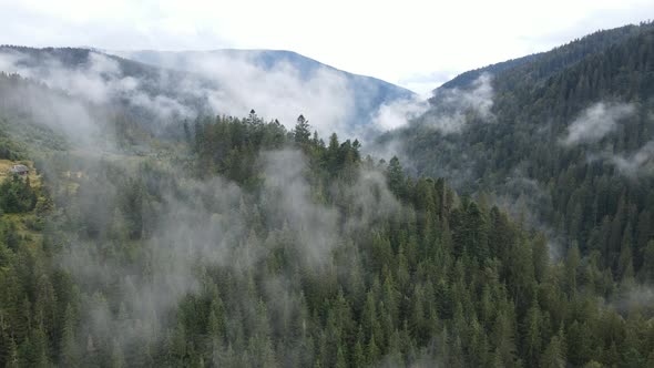 Mountains in Fog Slow Motion. Aerial View of the Carpathian Mountains in Autumn. Ukraine