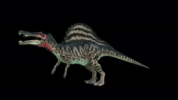 4K Spinosaurus Dinosaur alt
